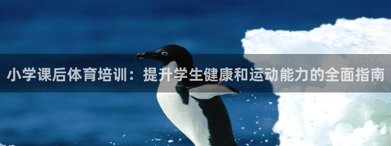 欧陆娱乐平台登录不上怎么回事：小学课后体育培训：提升