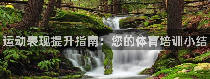 欧陆娱乐挂机怎么玩的：运动表现提升指南：您的体育培训