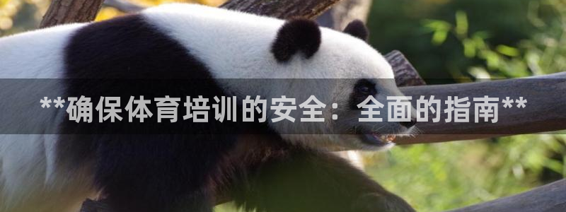 欧陆娱乐官网：**确保体育培训的安全：全面的指南**