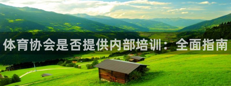 欧陆娱乐试玩官网：体育协会是否提供内部培训：全面指南