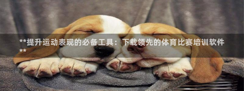 欧陆娱乐能赚钱吗知乎：**提升运动表现的必备工具：下