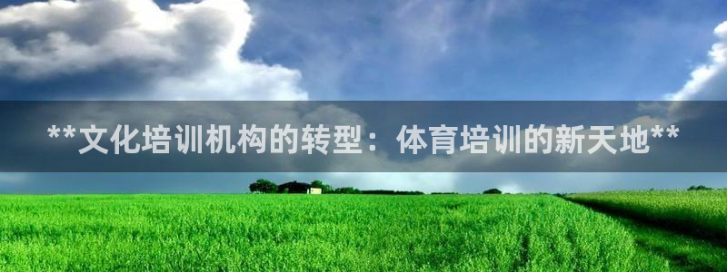 欧陆娱乐怎么样：**文化培训机构的转型：体育培训的新
