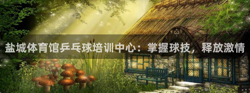欧陆公司在哪里：盐城体育馆乒乓球培训中心：掌握球技，
