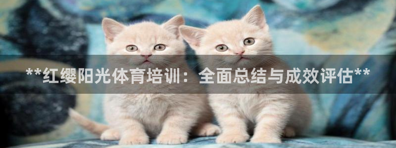 欧陆娱乐试玩官网：**红缨阳光体育培训：全面总结与成