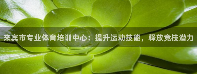 重庆欧陆娱乐有限公司：来宾市专业体育培训中心：提升运