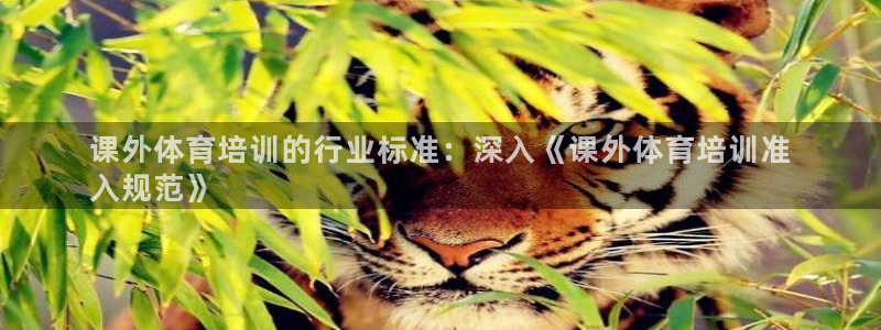 欧陆娱乐官方网站首页：课外体育培训的行业标准：深入《