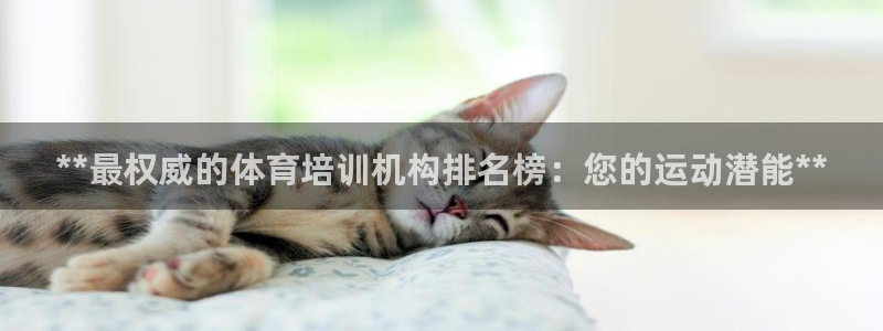 欧陆娱乐注册链接安全吗是真的吗：**最权威的体育培训