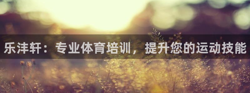 欧陆娱乐代理多少个点位可以赚钱：乐沣轩：专业体育培训