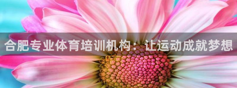 欧陆娱乐代理多少个点位：合肥专业体育培训机构：让运动