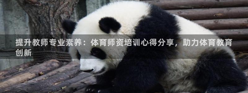 欧陆娱乐官网网址大全：提升教师专业素养：体育师资培训