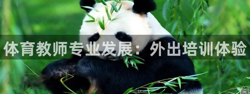 欧陆娱乐试玩官网：体育教师专业发展：外出培训体验