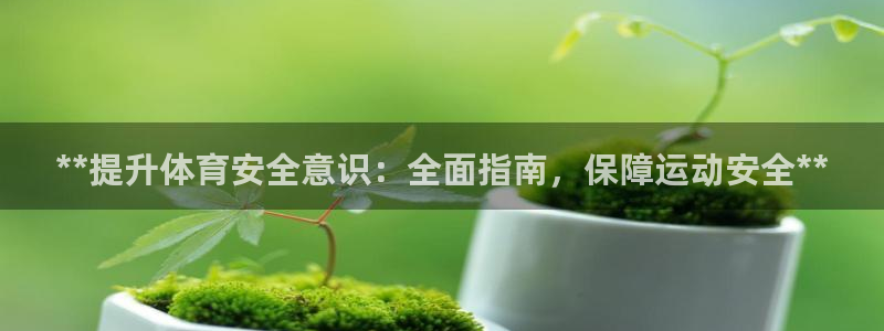 欧陆娱乐挂机怎么玩的：**提升体育安全意识：全面指南