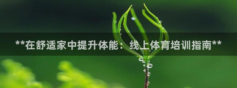 欧陆娱乐app攻略大全：**在舒适家中提升体能：线上