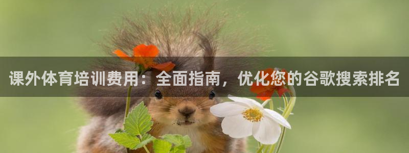 欧陆娱乐怎么注册账号：课外体育培训费用：全面指南，优