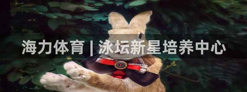 欧陆娱乐共创美好：海力体育 | 泳坛新星培养中心