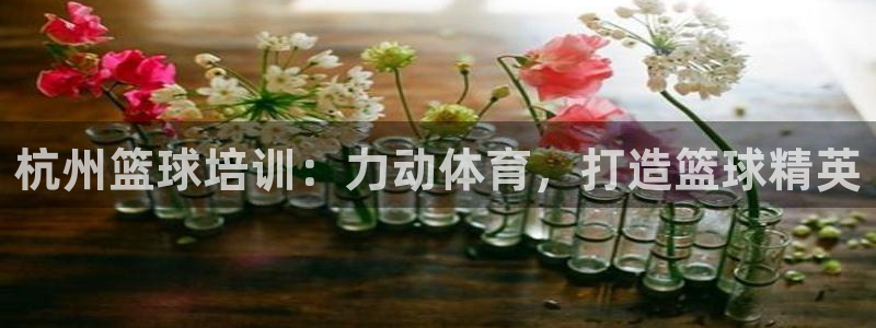欧陆娱乐出款了吗：杭州篮球培训：力动体育，打造篮球精