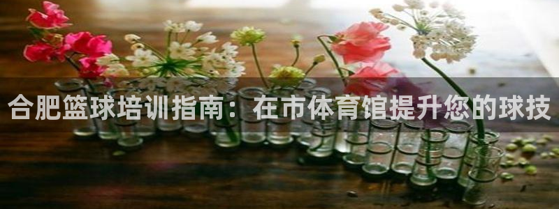 欧陆娱乐信誉吗：合肥篮球培训指南：在市体育馆提升您的