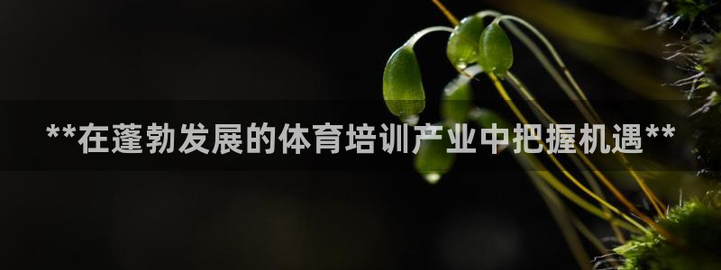 欧陆娱乐平台登陆地址在哪看：**在蓬勃发展的体育培训
