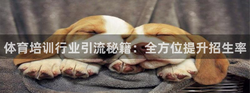 欧陆娱乐怎么样：体育培训行业引流秘籍：全方位提升招生