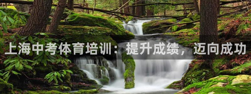 欧陆娱乐平台咋样赚钱：上海中考体育培训：提升成绩，迈