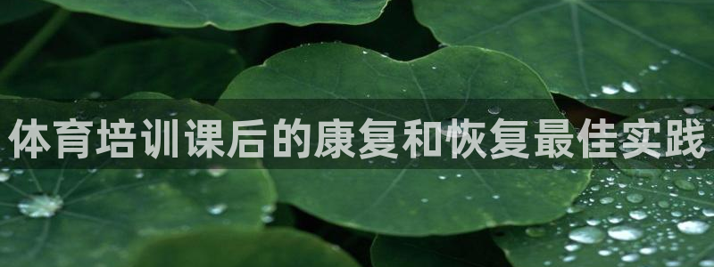 欧陆娱乐游戏特色：体育培训课后的康复和恢复最佳实践