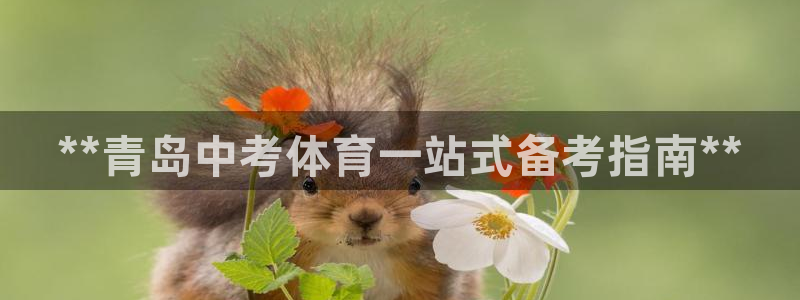 欧陆娱乐是正规吗?：**青岛中考体育一站式备考指南*