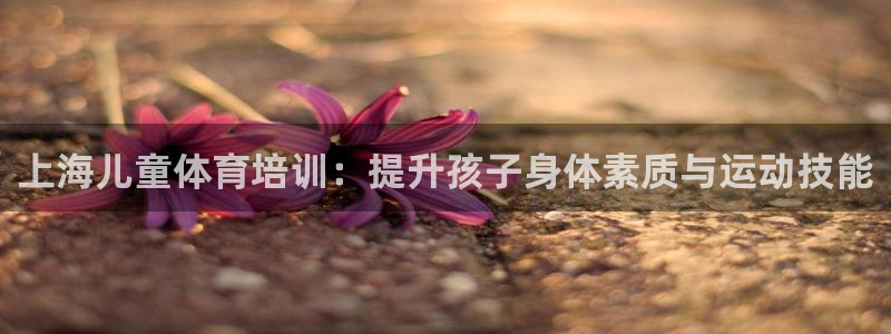 欧陆娱乐登录平台有哪些：上海儿童体育培训：提升孩子身体素质与