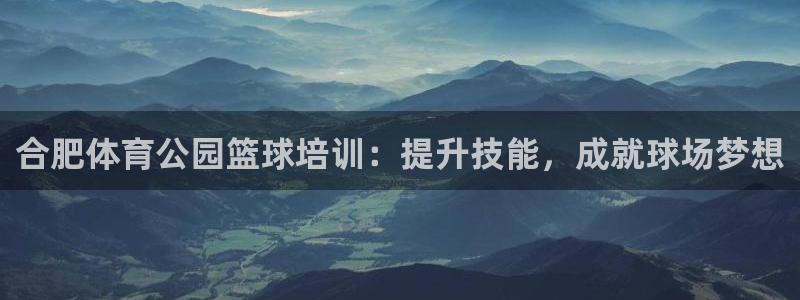 欧陆娱乐怎么注册：合肥体育公园篮球培训：提升技能，成