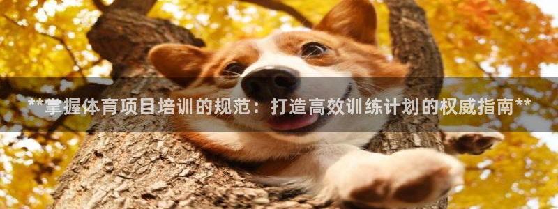 欧陆论坛：**掌握体育项目培训的规范：打造高效训练计划的权威