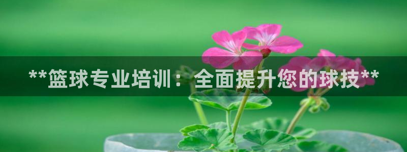 欧陆娱乐官网下载安装最新版本：**篮球专业培训：全面