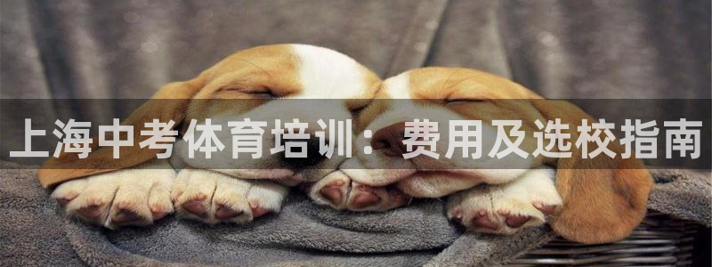 欧陆娱乐计划预测软件哪个好：上海中考体育培训：费用及