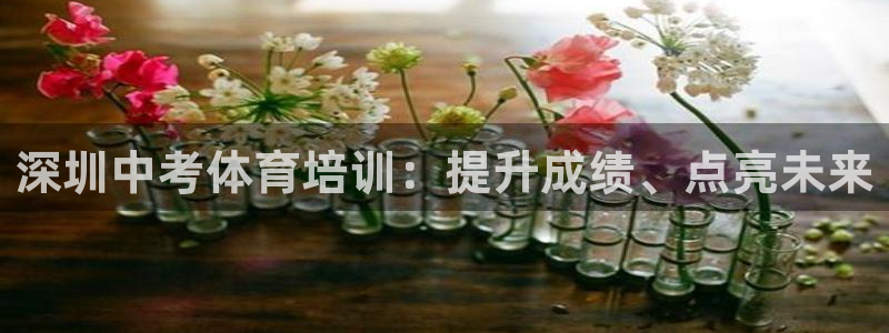 欧陆娱乐官网下载安装最新版：深圳中考体育培训：提升成