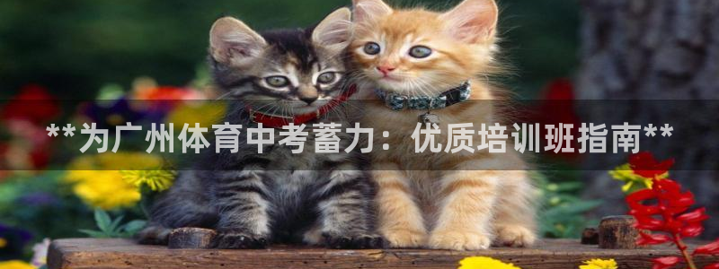 重庆欧陆娱乐有限公司：**为广州体育中考蓄力：优质培