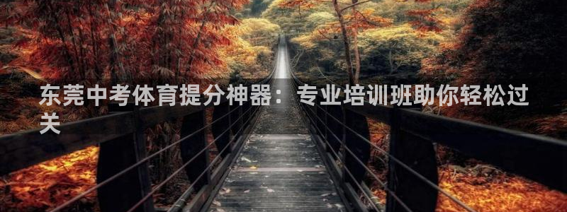 欧陆娱乐官网注册中心：东莞中考体育提分神器：专业培训