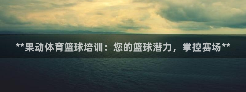 欧陆娱乐挂机项目怎么设置：**果动体育篮球培训：您的