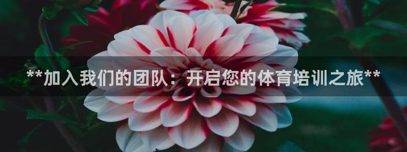 欧陆娱乐公司产品介绍怎么写：**加入我们的团队：开启