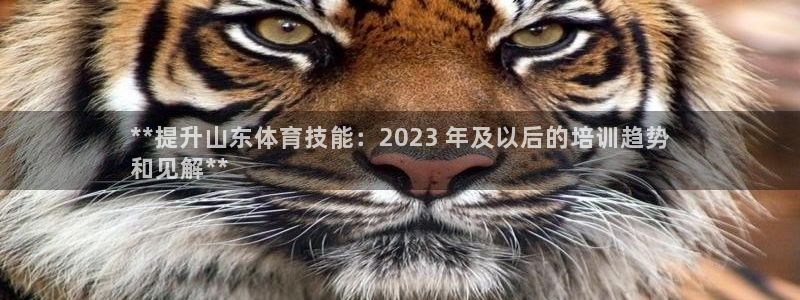 欧陆娱乐登录官网下载：**提升山东体育技能：2023