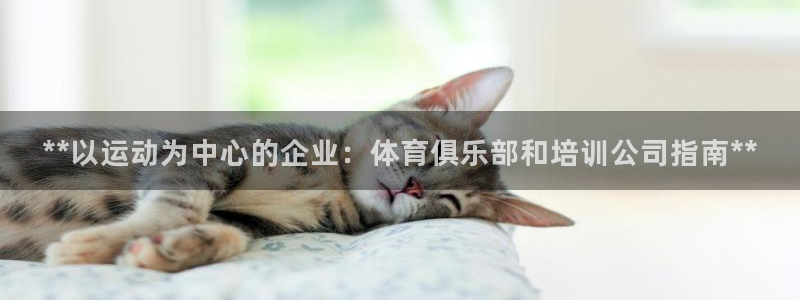 欧陆娱乐挂机项目有哪些：**以运动为中心的企业：体育