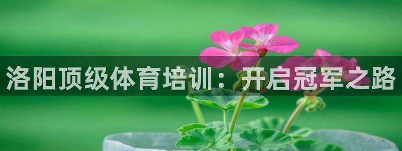 欧陆娱乐累计盈利多少就会被劝退呢：洛阳顶级体育培训：