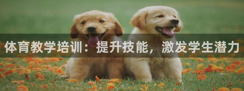 欧陆娱乐是正规平台吗安全吗可信吗：体育教学培训：提升