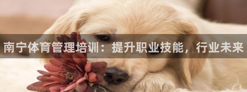 欧陆娱乐挂机怎么玩游戏：南宁体育管理培训：提升职业技