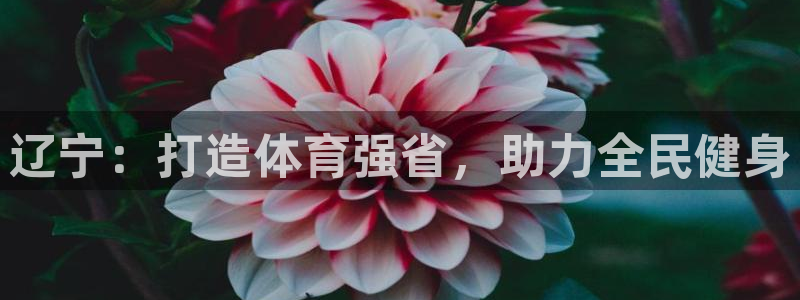 欧陆娱乐官网首页网址：辽宁：打造体育强省，助力全民健