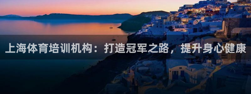 欧陆娱乐平台优势：上海体育培训机构：打造冠军之路，提