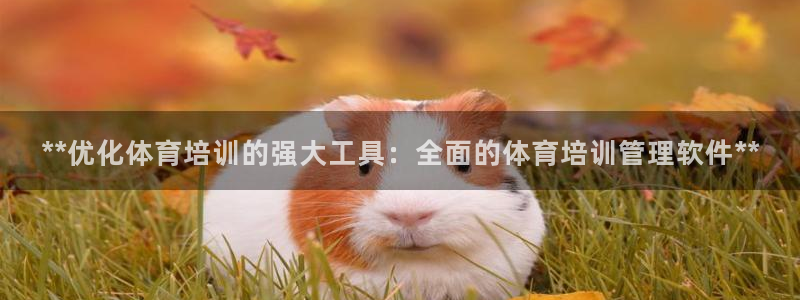 欧陆娱乐百科大全：**优化体育培训的强大工具：全面的
