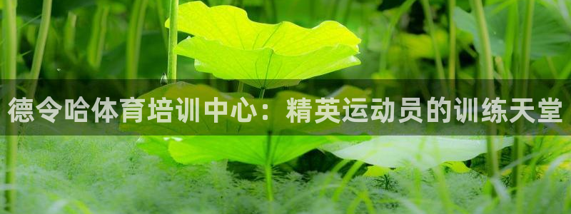 欧陆娱乐是那个旗下的品牌：德令哈体育培训中心：精英运
