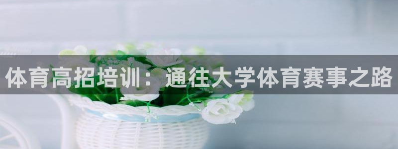 欧陆娱乐计划app官方正版安装下载苹果：体育高招培训