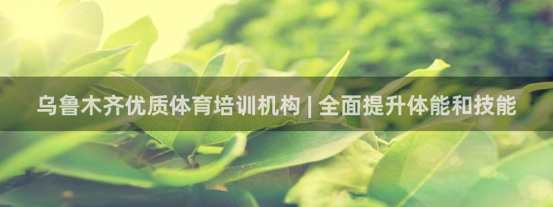 重庆欧陆娱乐有限公司怎么样：乌鲁木齐优质体育培训机构