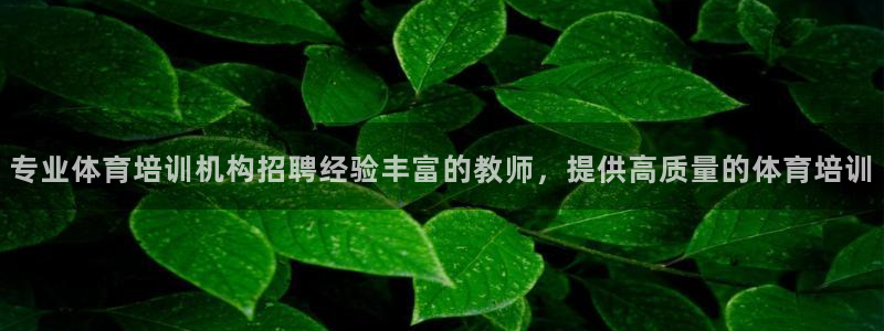 欧陆娱乐平台咋样赚钱快：专业体育培训机构招聘经验丰富