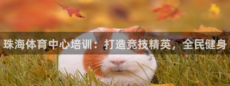 欧陆娱乐登录官网网址：珠海体育中心培训：打造竞技精英