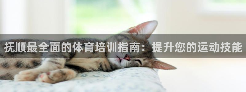 欧陆娱乐打什么方案赚钱